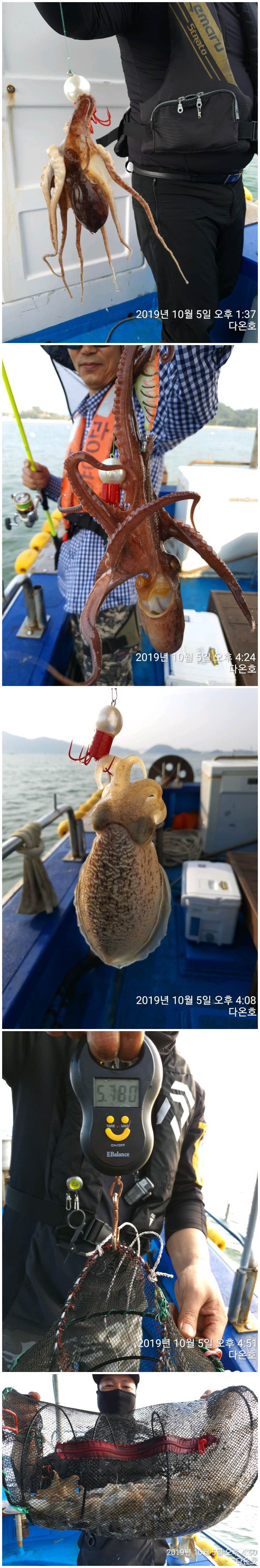 갈도풍력 이미지