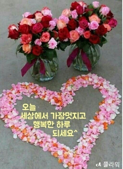 드보라화원 이미지