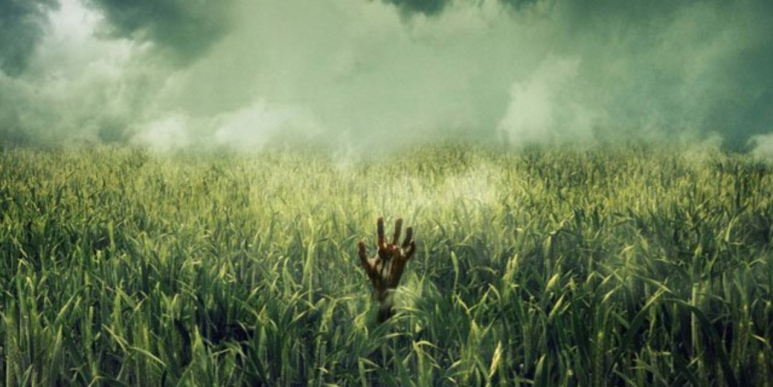 영화 높은 풀 속에서 In The Tall Grass 2019 넷플릭스 네이버 블로그