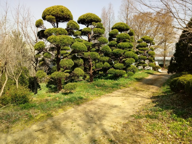 동진조경 이미지
