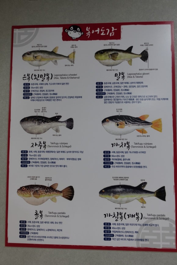 본가벌나무복집 이미지