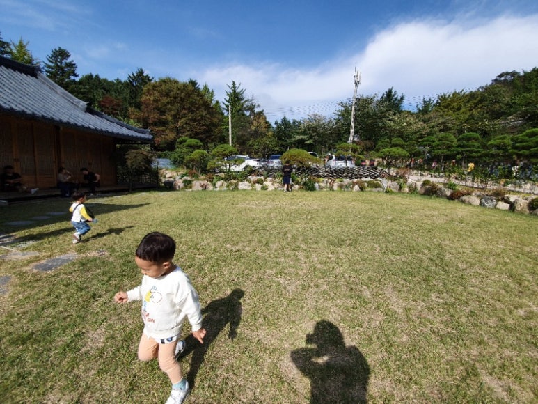 볼페오 이미지