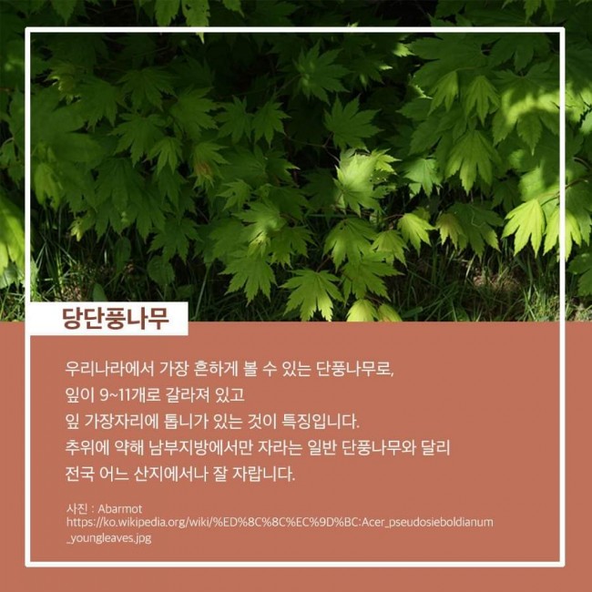 에듀나무 이미지