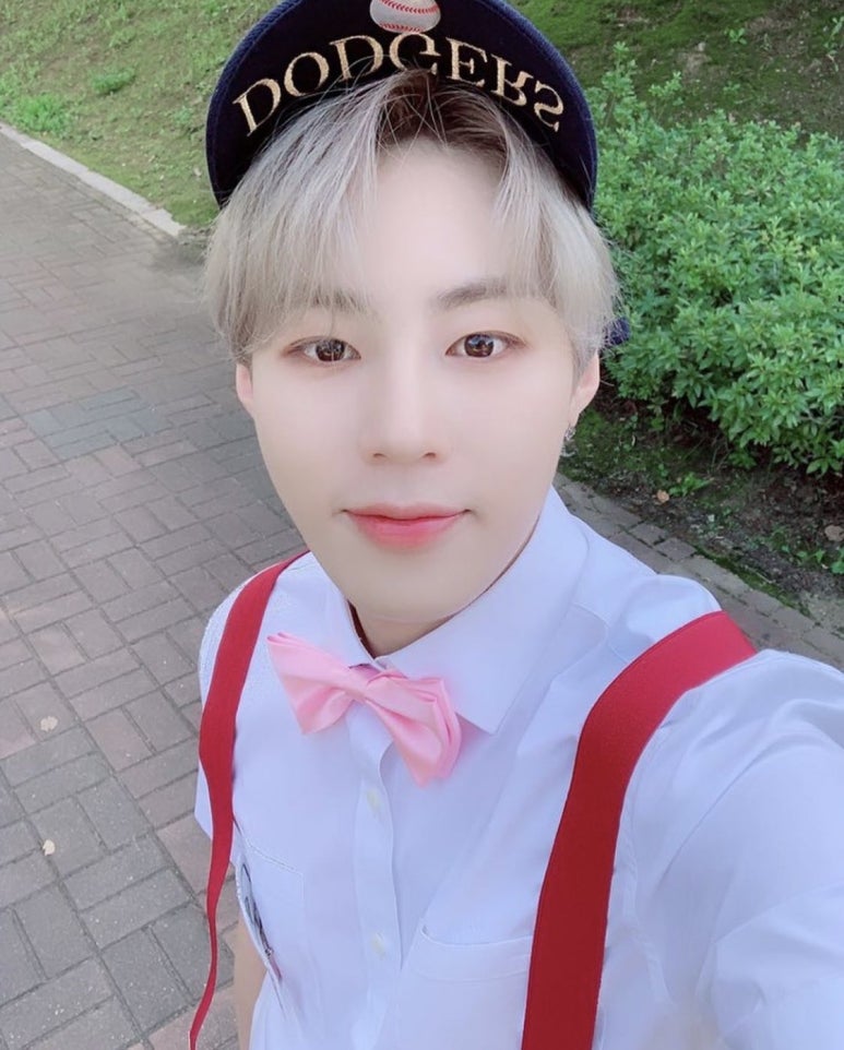 병아리날다 이미지