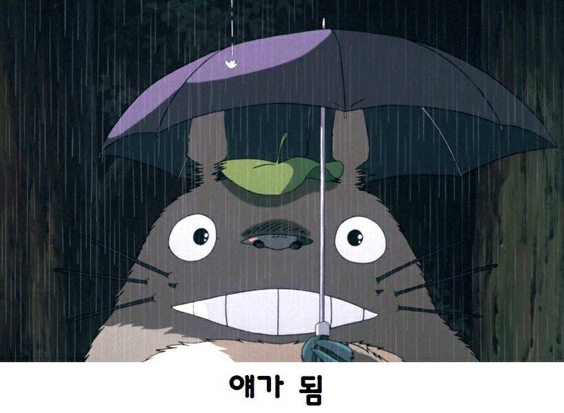 족발마켓 이미지