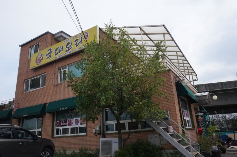 국대오리 이미지