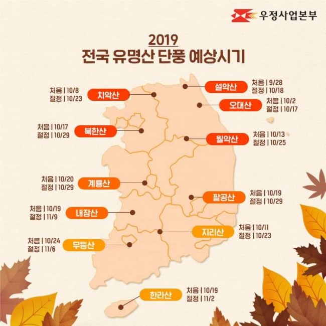 에듀나무 이미지