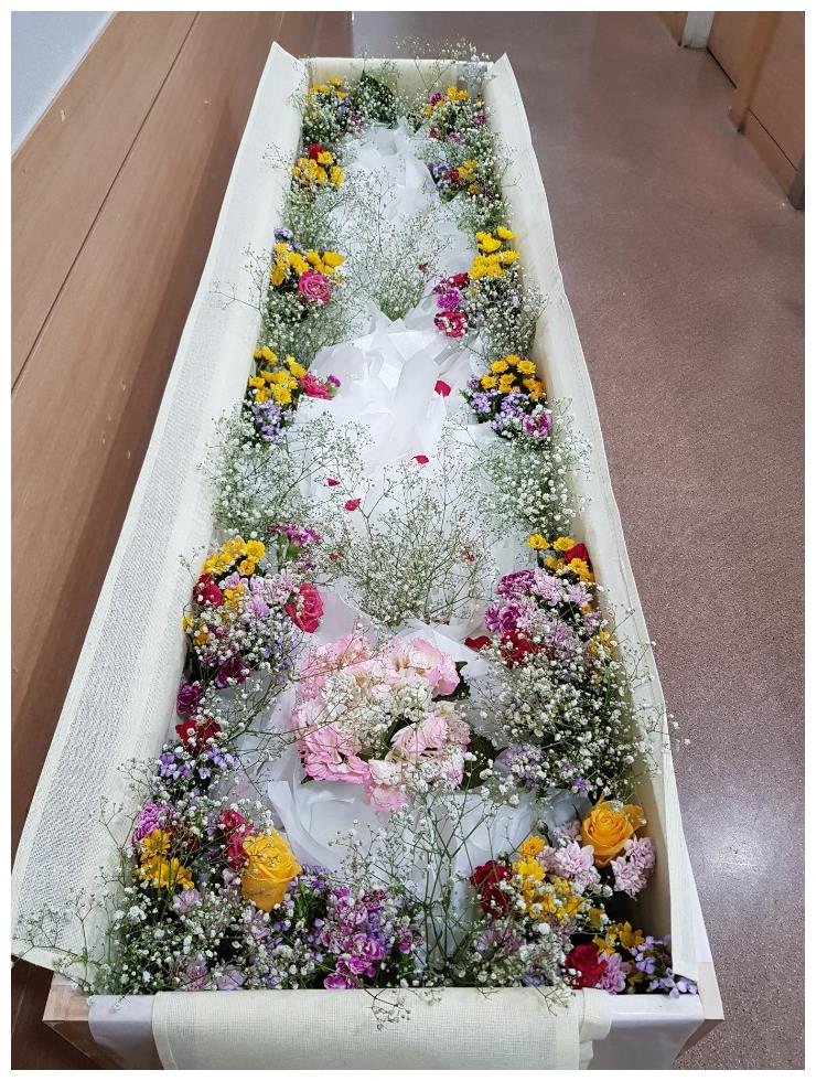 미드미상조 이미지