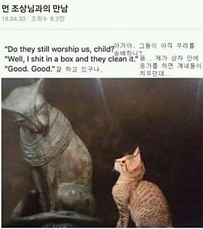최**-9 이미지