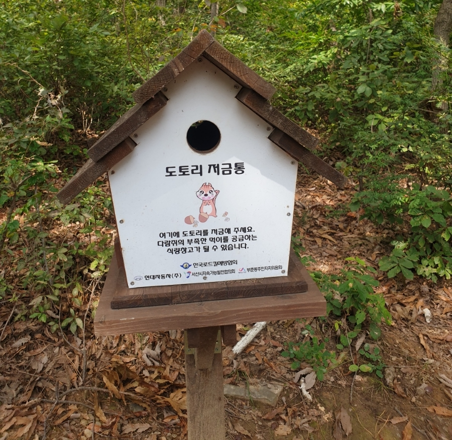 부춘산 유아숲체험원 이미지