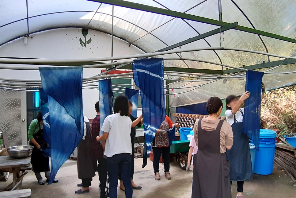 쪽빛나라 이미지