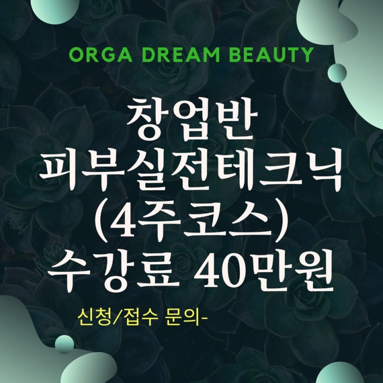 창업드림 이미지