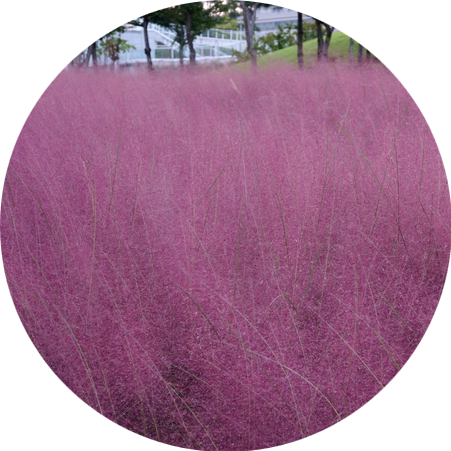 신서중앙공원 이미지