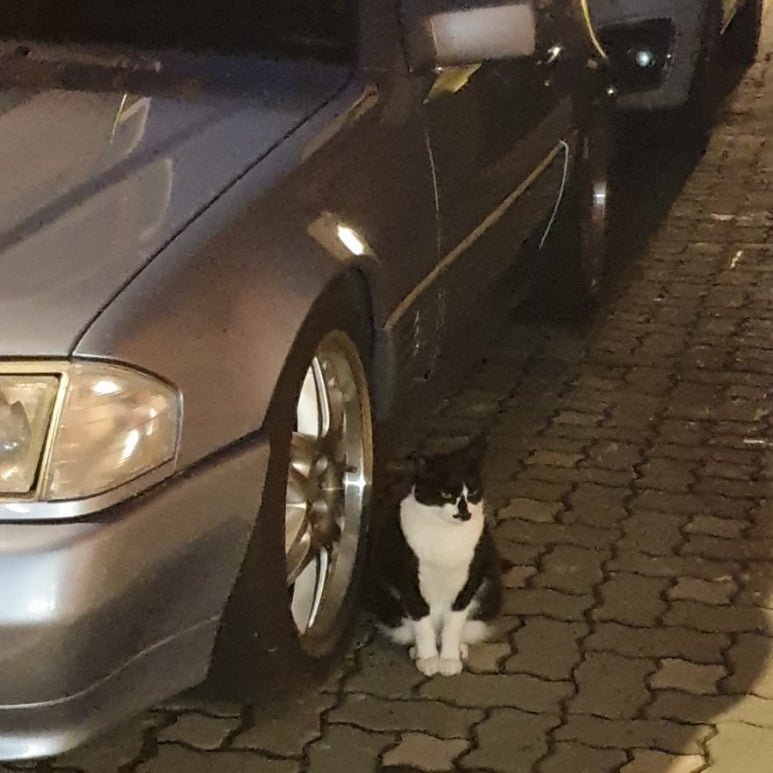 팔팔빈티지 이미지
