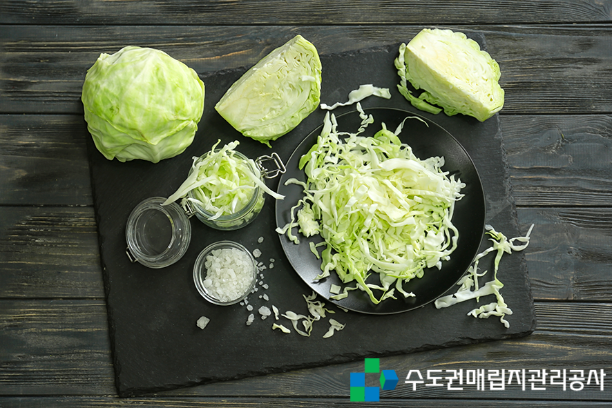 진필환경 이미지