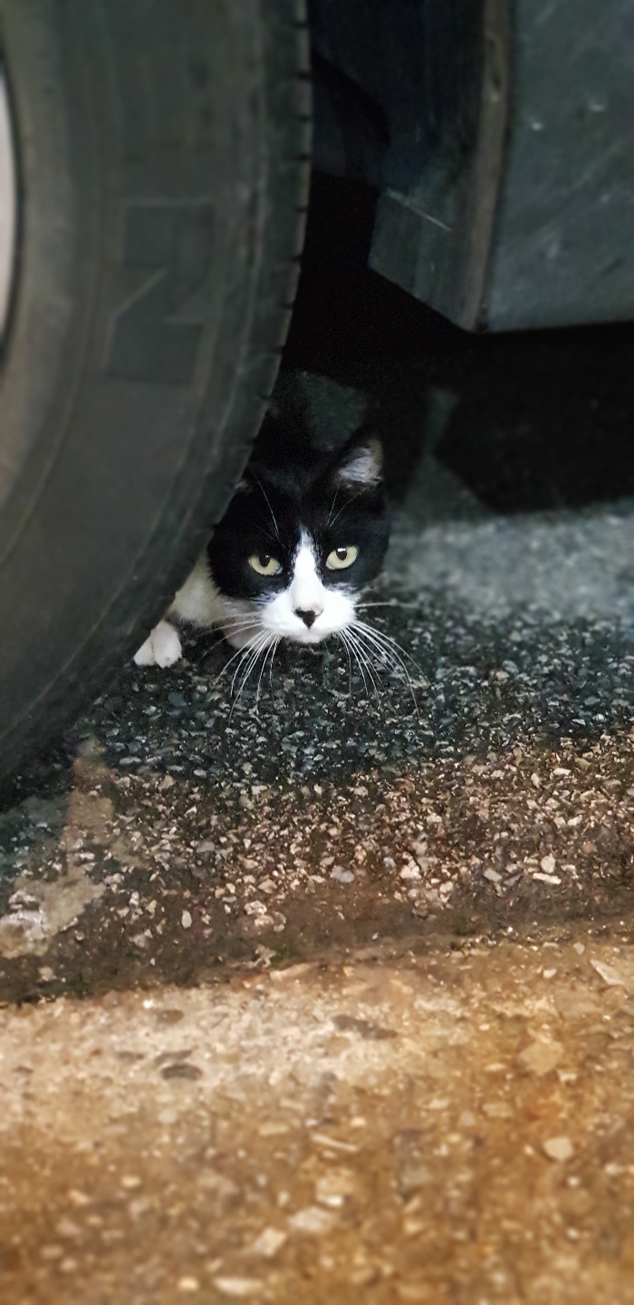 곱창22번지 이미지