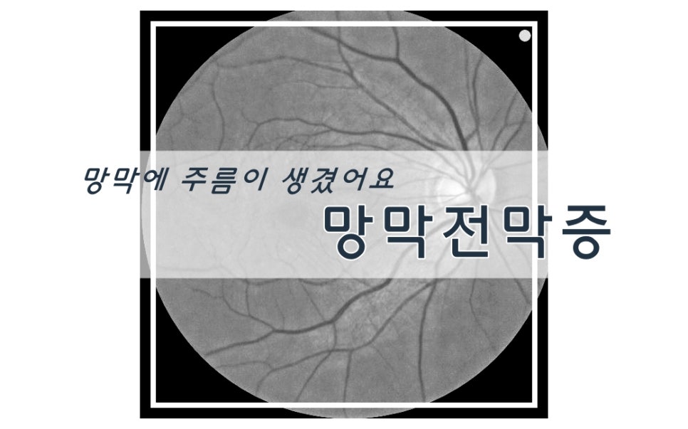 태전김안과의원 이미지