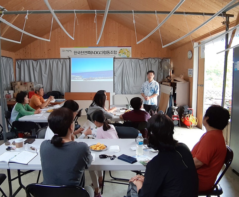 쪽빛나라 이미지