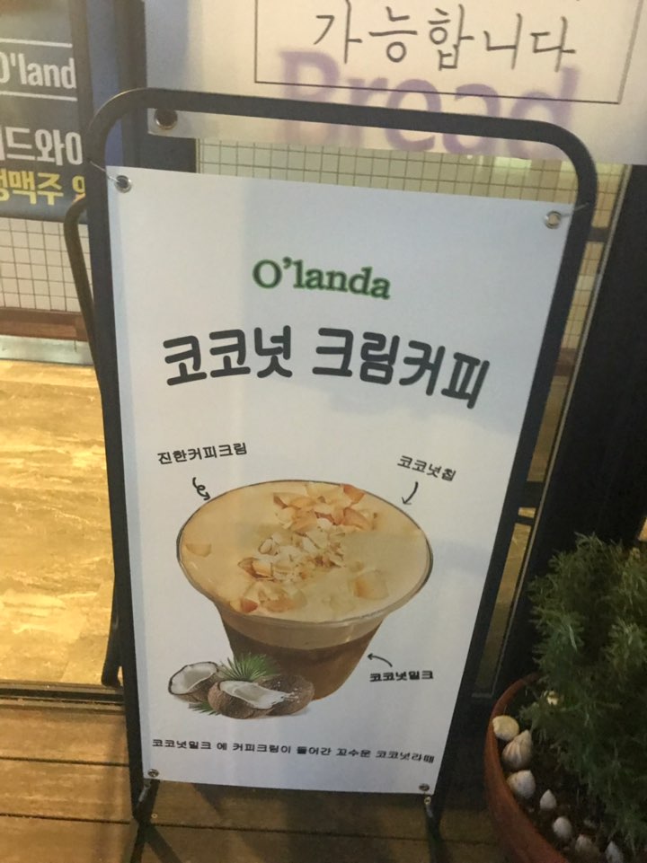 강릉오란다 이미지