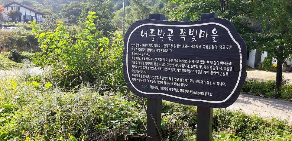 쪽빛나라 이미지