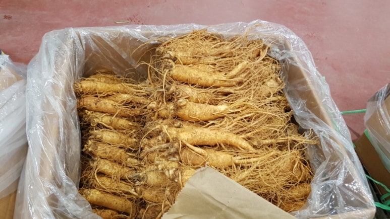 금산수삼시장(주) 이미지