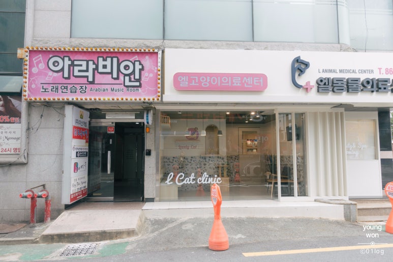 아라비안노래연습장 이미지