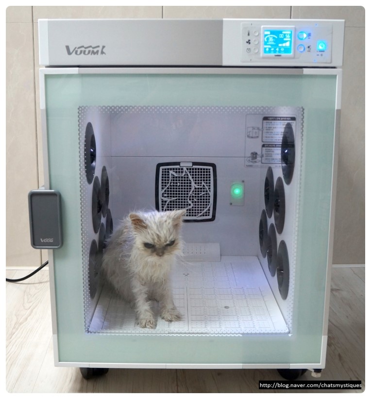 뿌띠 이미지