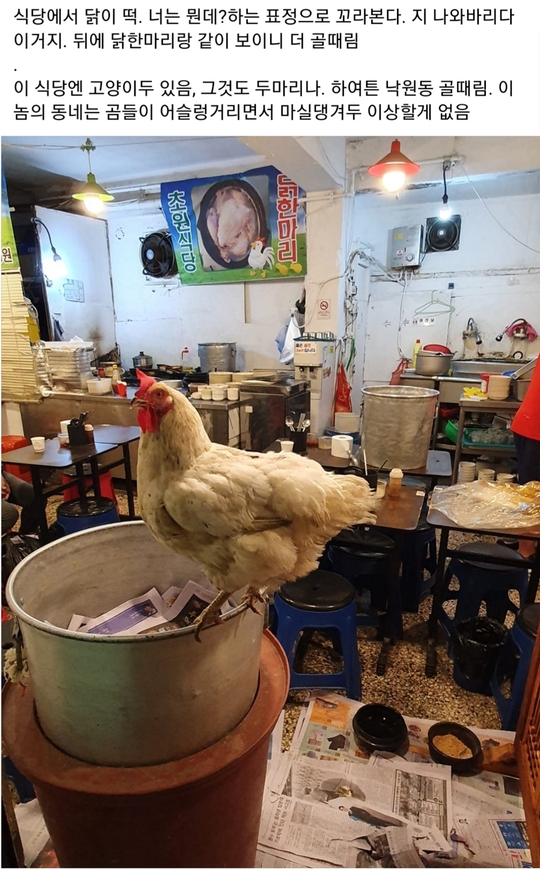 종로식당 이미지