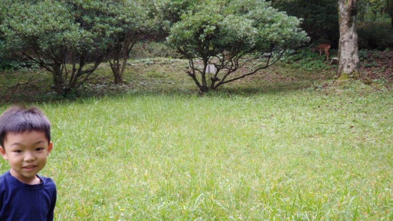 한라여행사 이미지