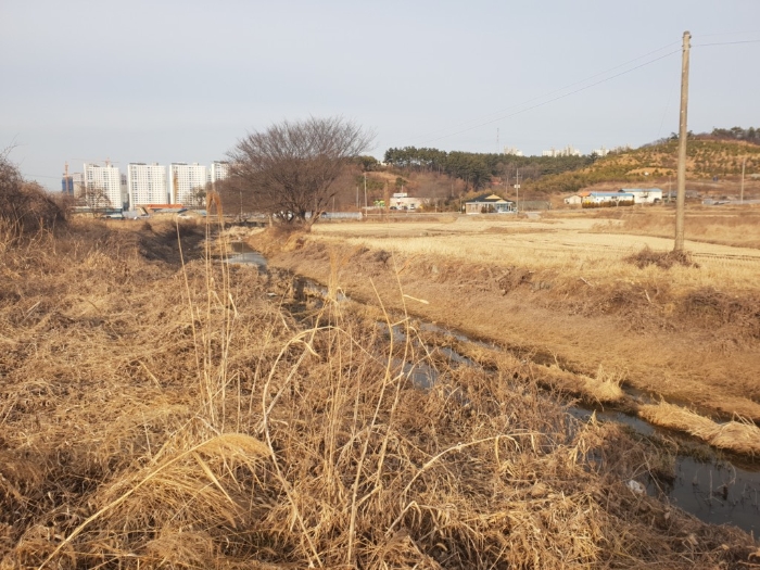 [국도29] 서산시 일람리 이미지