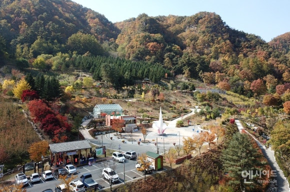 무궁화조경 이미지
