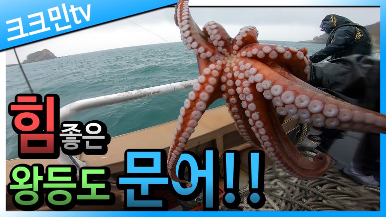 주니앤피플 이미지
