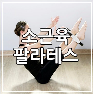 파워헬스요가 이미지
