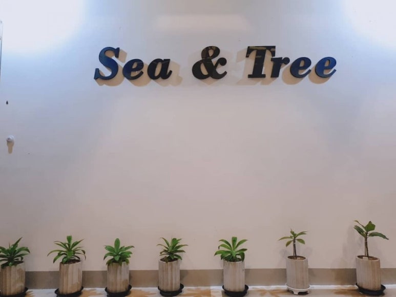 씨앤트리(Sea&Tree) 이미지