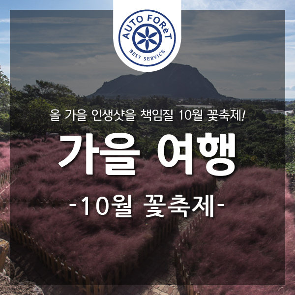 여행포레정읍 이미지
