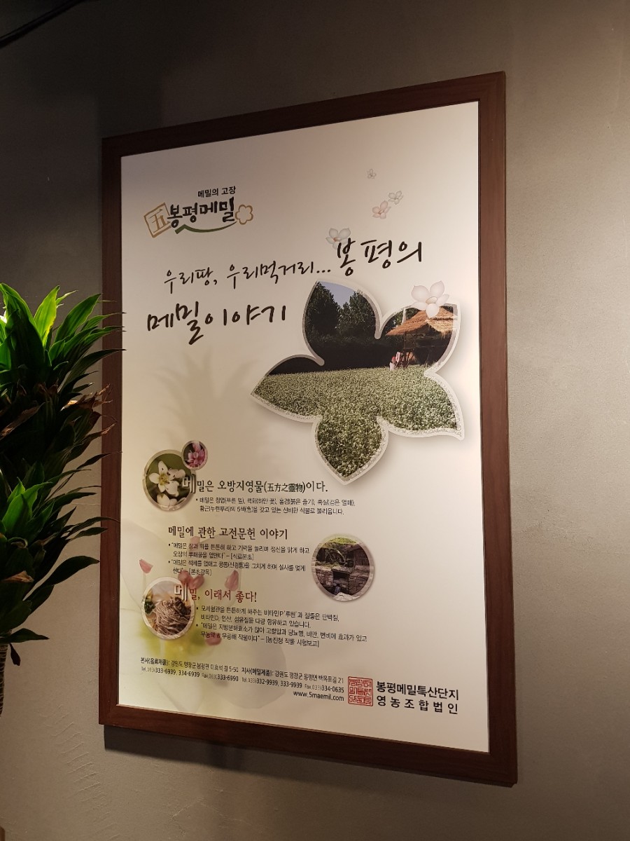 봉평메밀특산단지영농조합법인 이미지