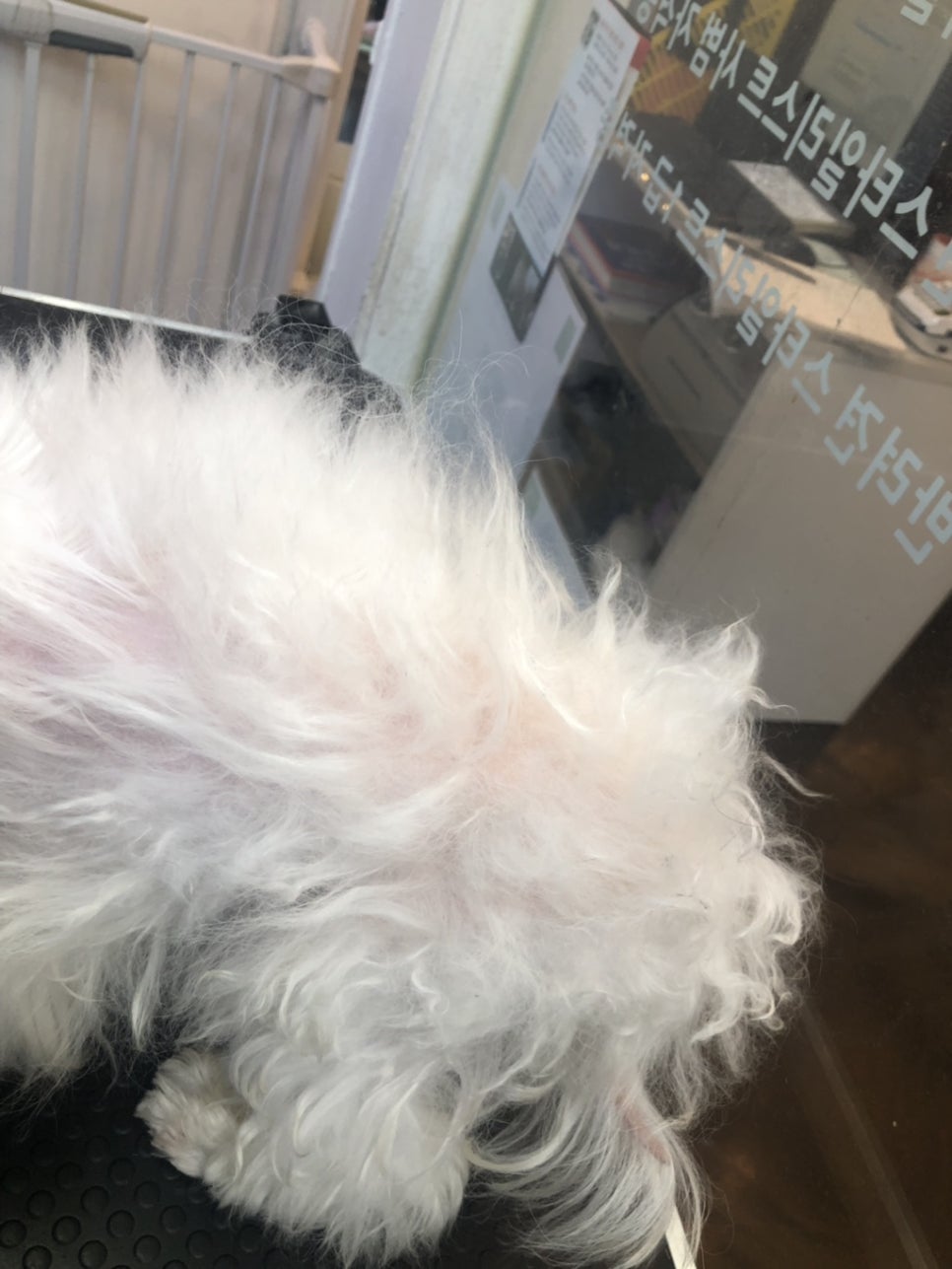 아랑샵미용실 이미지