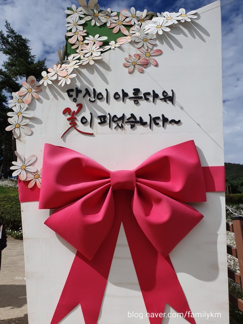 정읍신발 이미지