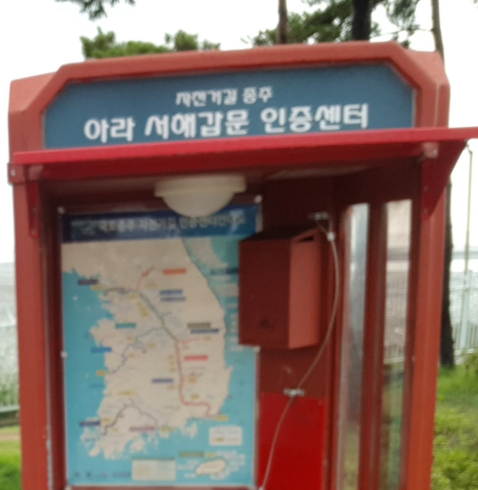 아라00 이미지