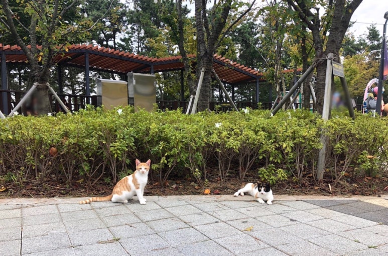 523갤러리 이미지
