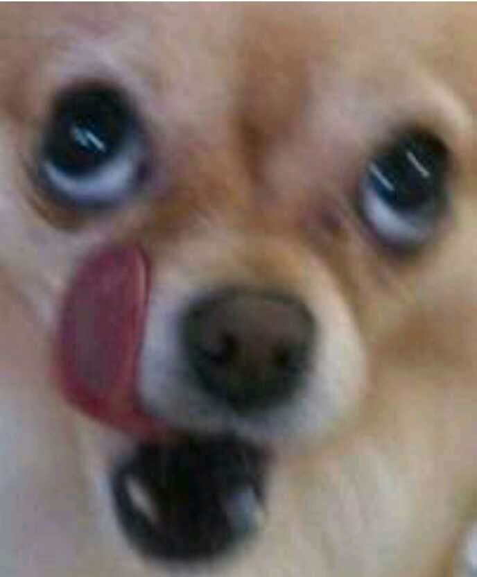 음 이미지