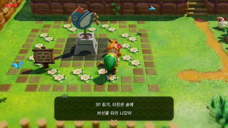 신비코 이미지