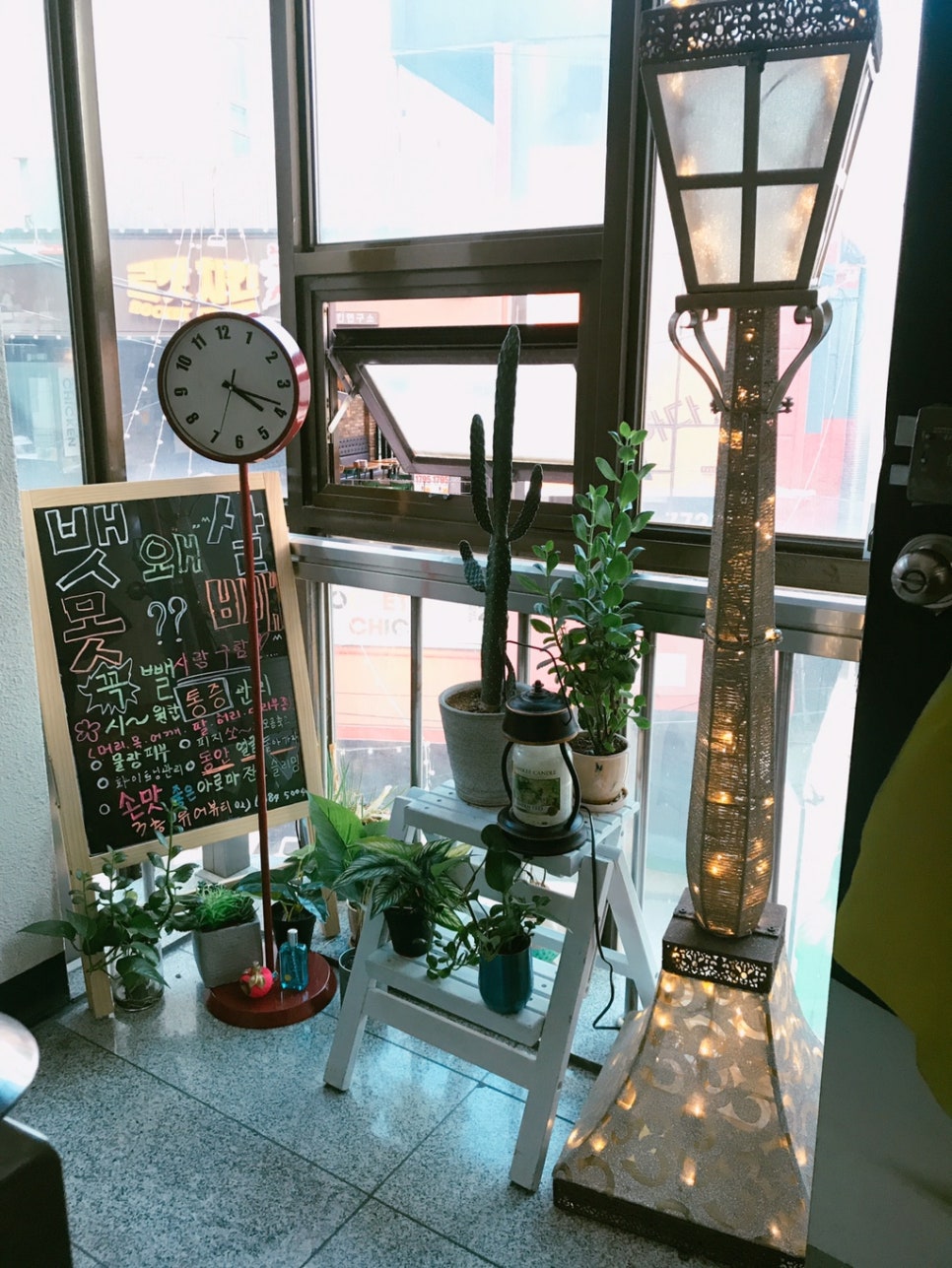 바람난고양이 이미지