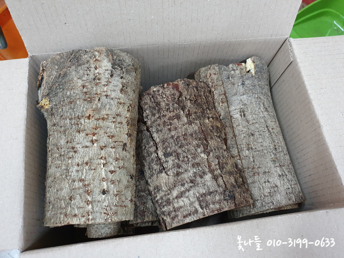 옻나들 이미지
