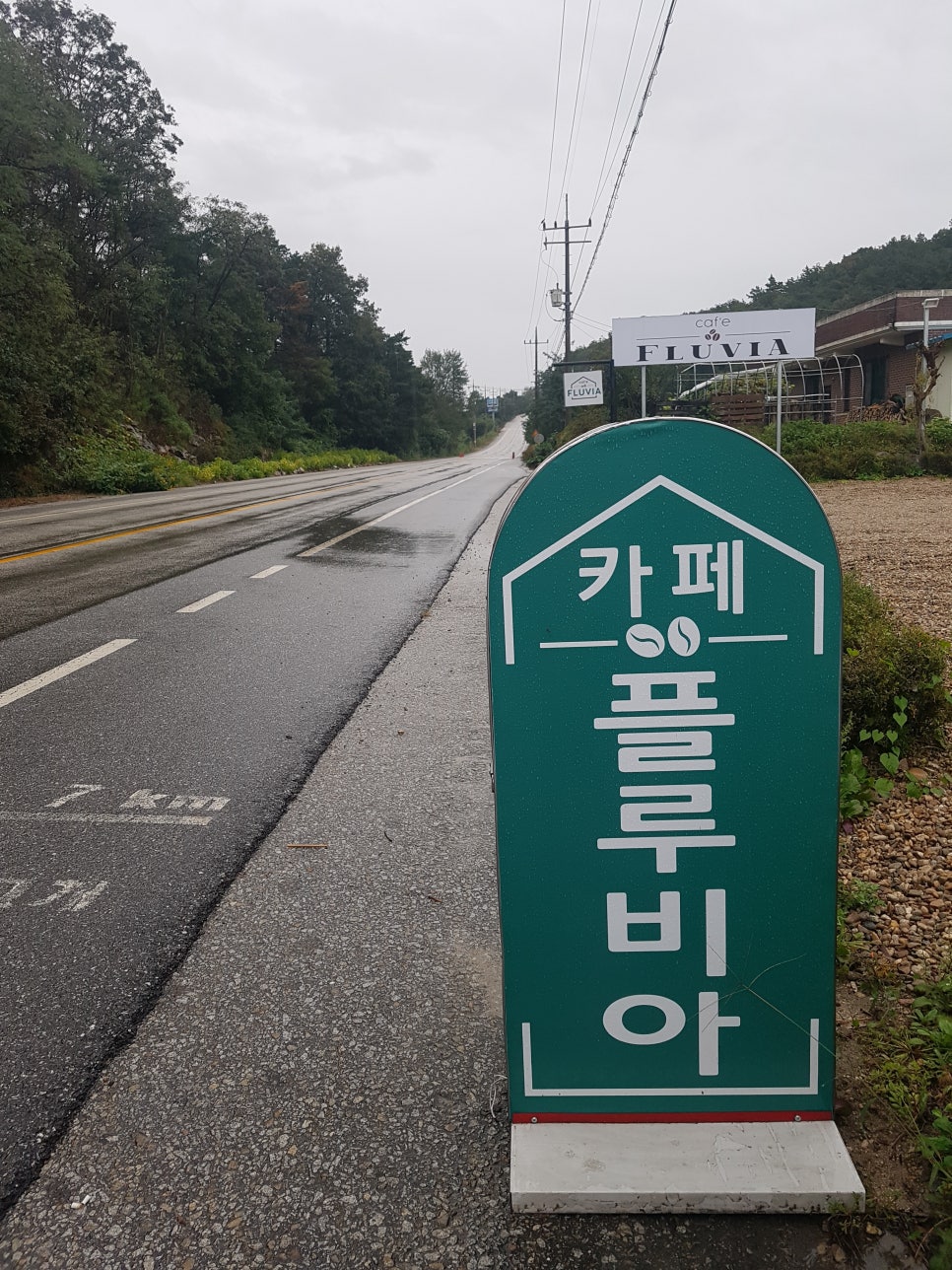 카페플루비아 이미지