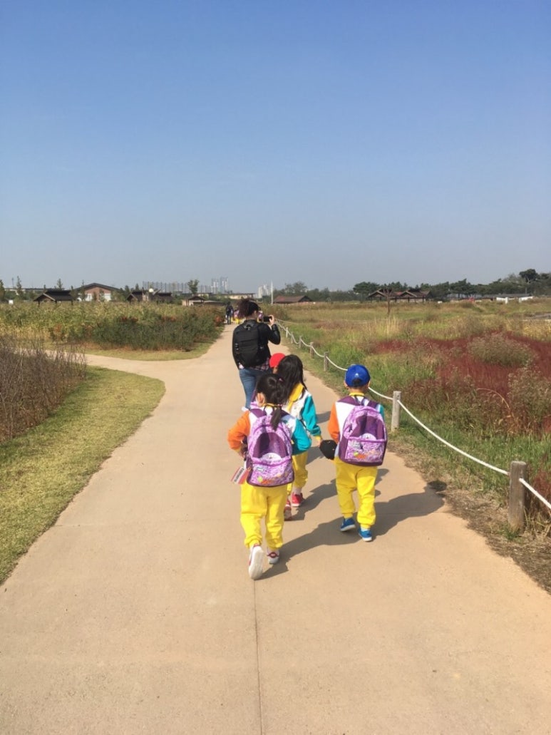영유쌤 이미지