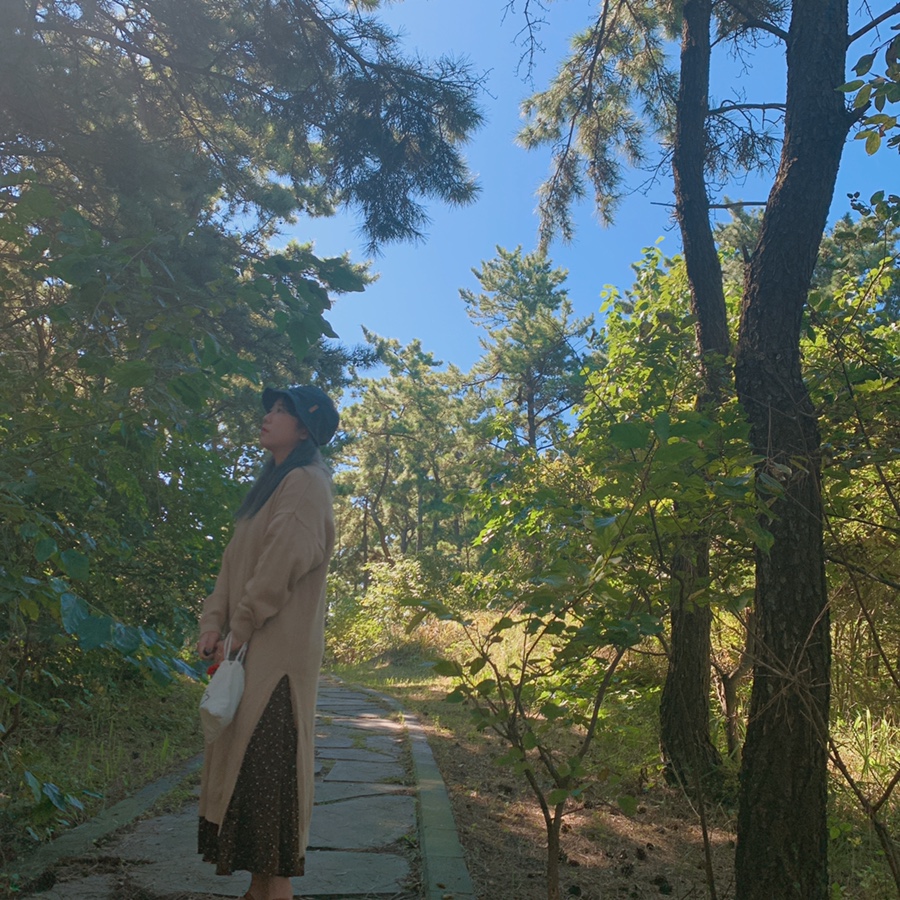 춘화상회 이미지