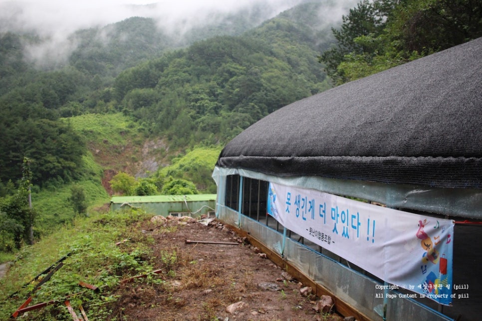영월군농산물가공협동조합 이미지
