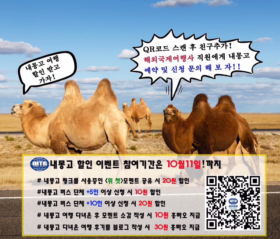 국제여행사 이미지