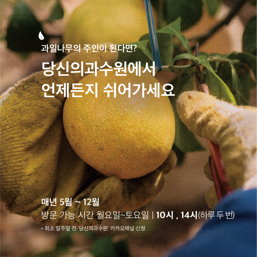 숲속의과수원 이미지